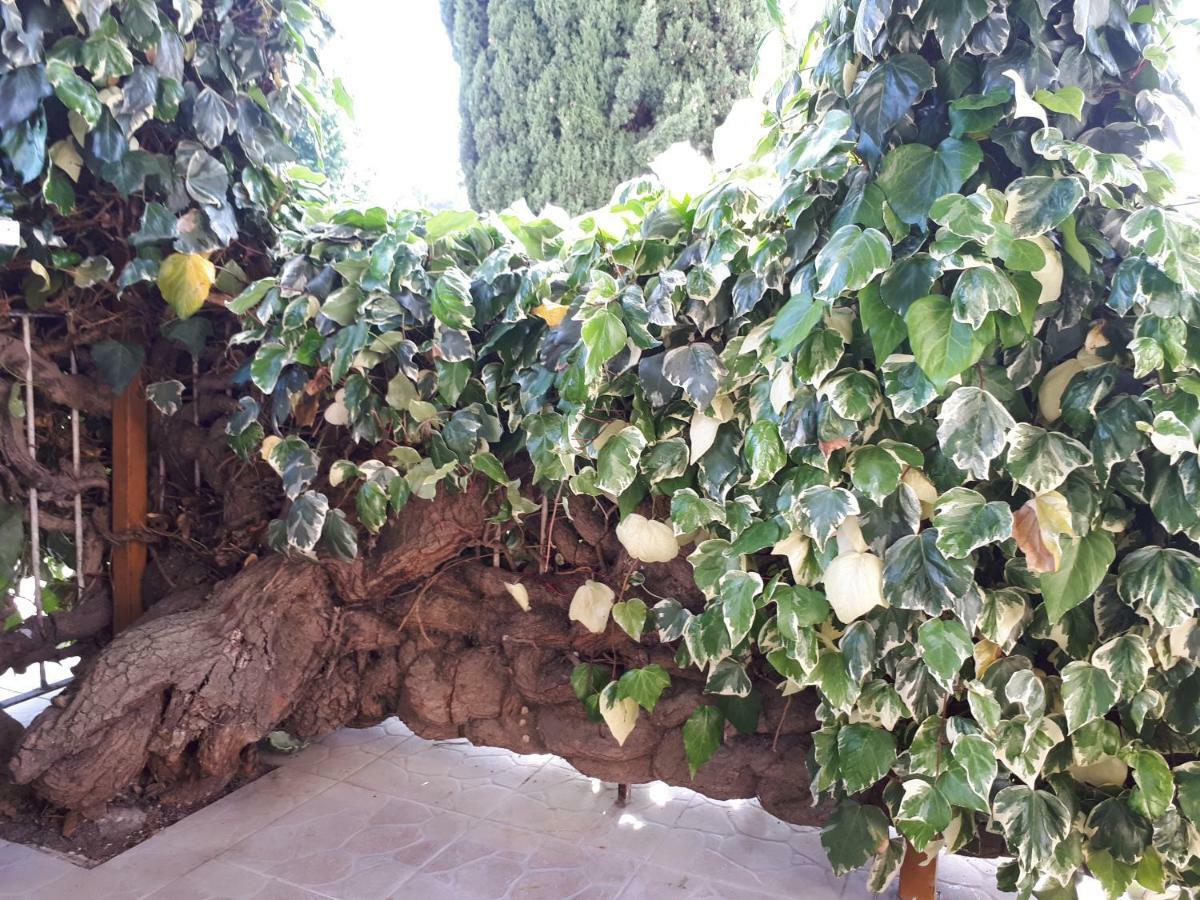 La Mia Resilienza Nei Sassi Di Matera Ξενοδοχείο Εξωτερικό φωτογραφία